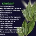 ed507710-5a12-46e4-be09-49c3ffb155ba