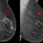 f6754a8d-b384-4773-9082-253fa38f3e4f