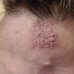 ff1cead2-833d-413c-936a-e8a7cc22e1c8-8