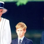 2435f421-473e-49ec-a662-1a23cfa8a3be