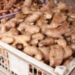 4fa10764-e123-4fae-ac91-00a121e83912