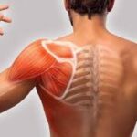 8e6bc8d9-e1f6-4ae3-8612-01ef4b1e4858