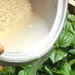 936278e1-15ed-452d-a275-33ade9bb565b