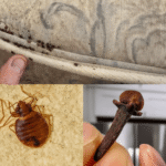 363dc57e-9f23-4ec1-a507-91e882627b08