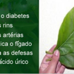 A Folha Milenar: Desvendando o Segredo Ancestral para o Controle Natural do Diabetes 43f9442a-66f2-4cd2-8611-1c7d16ff7e2a-6