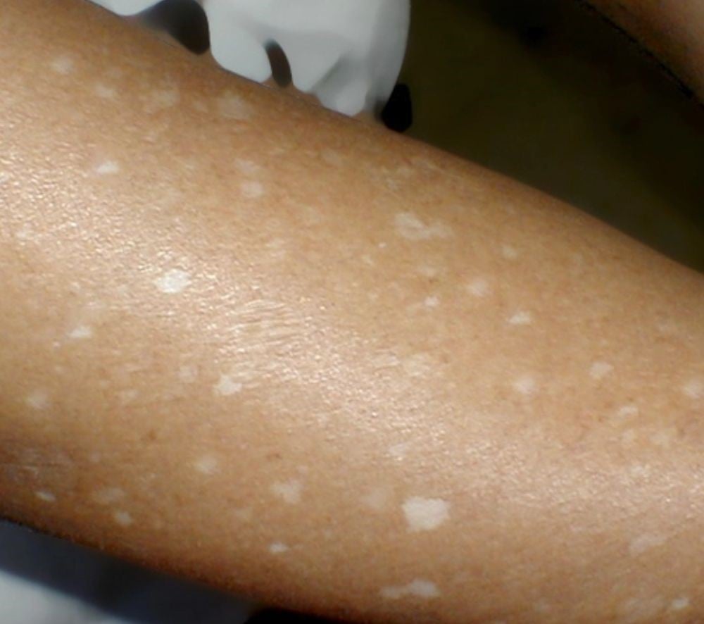 Desvende o Segredo do Bolo de Cenoura Mais Fofinho que Já Provou! 🥕🍰