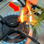 bf8778bf-d9d1-4031-bea1-1824df0c0109-1